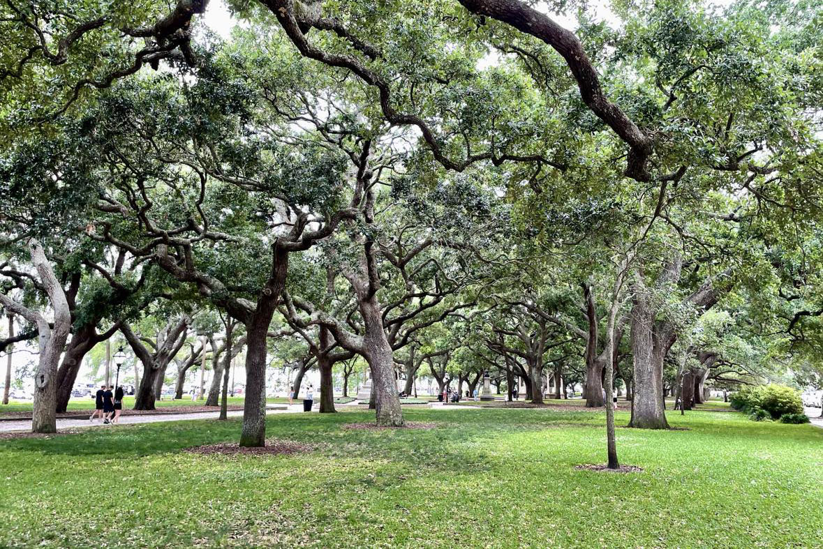 white point garden