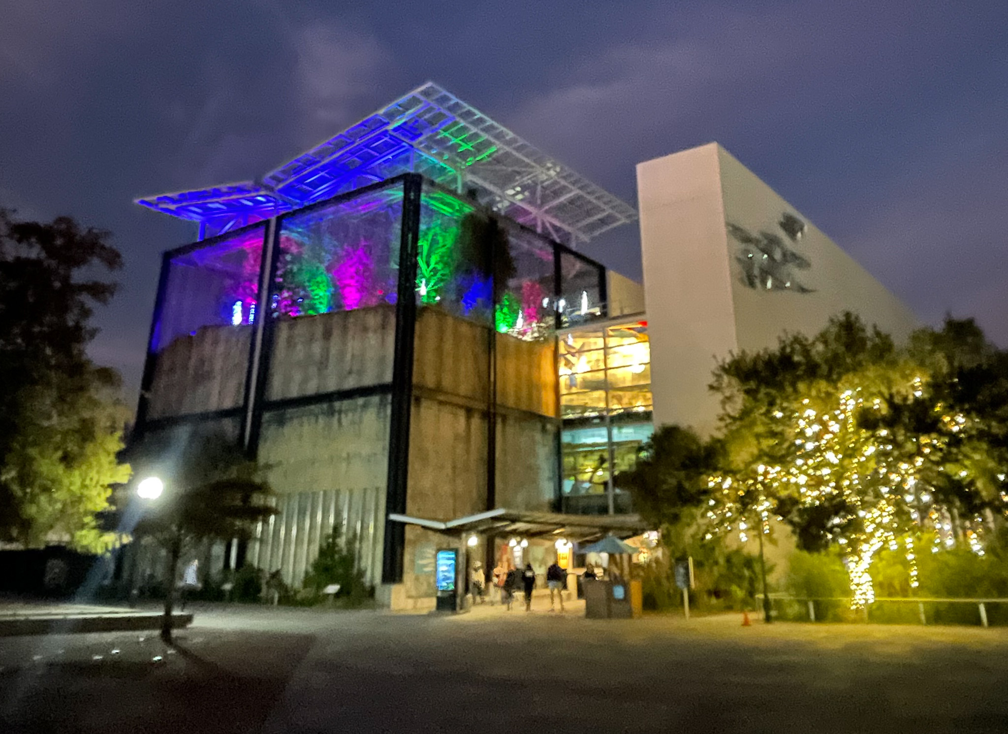 Aquarium Aglow