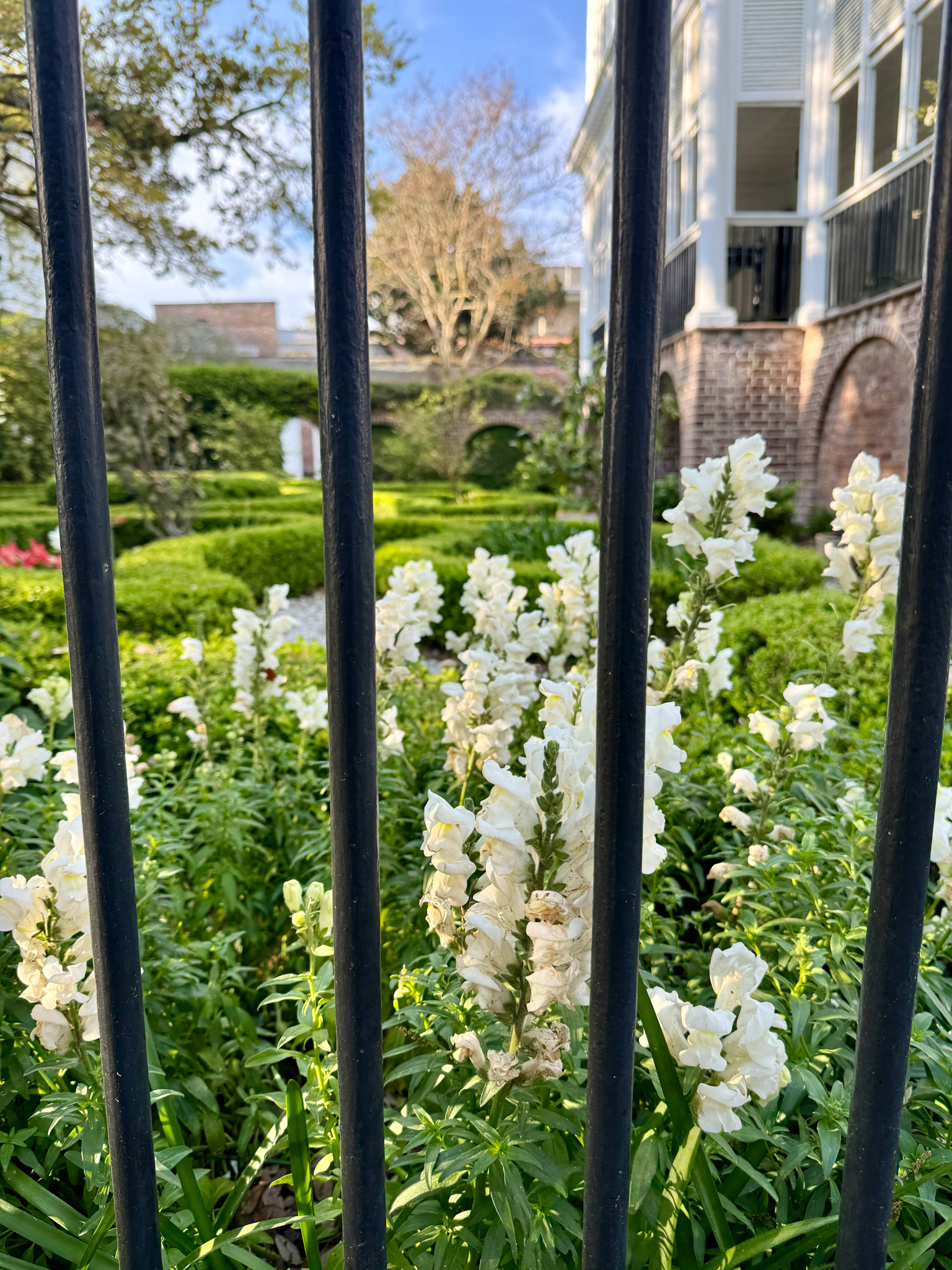 Behind the Garden Gate
