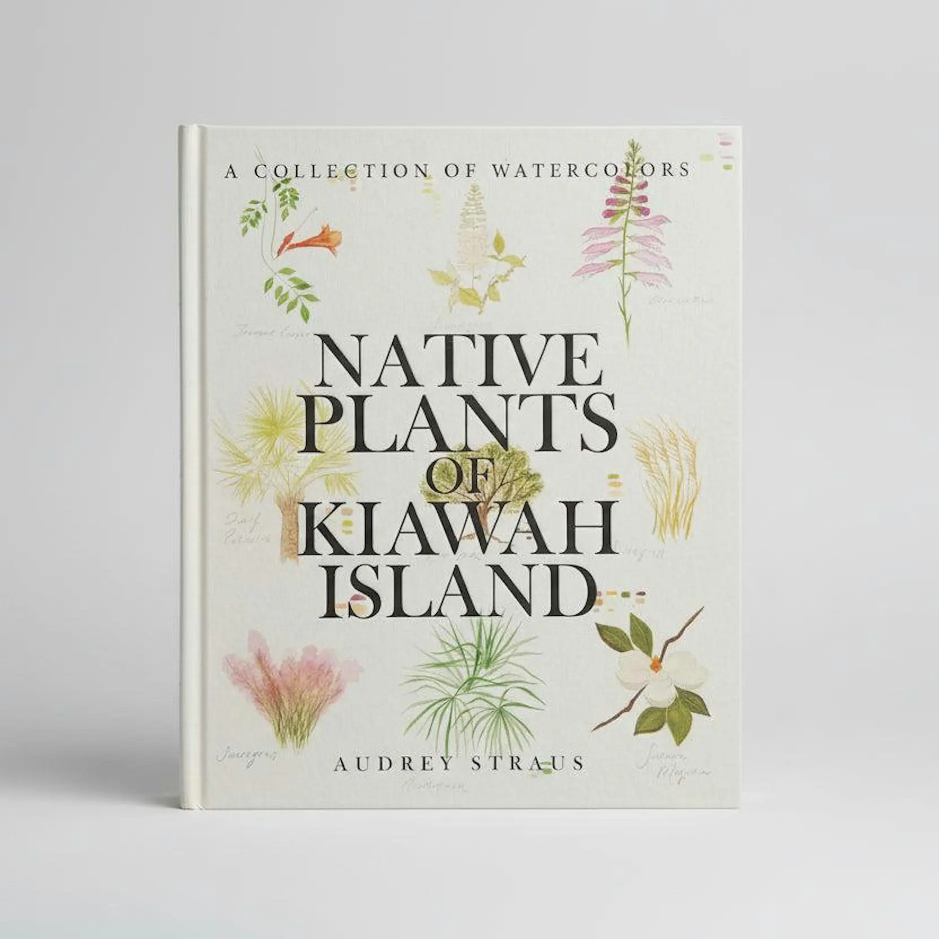 native plants