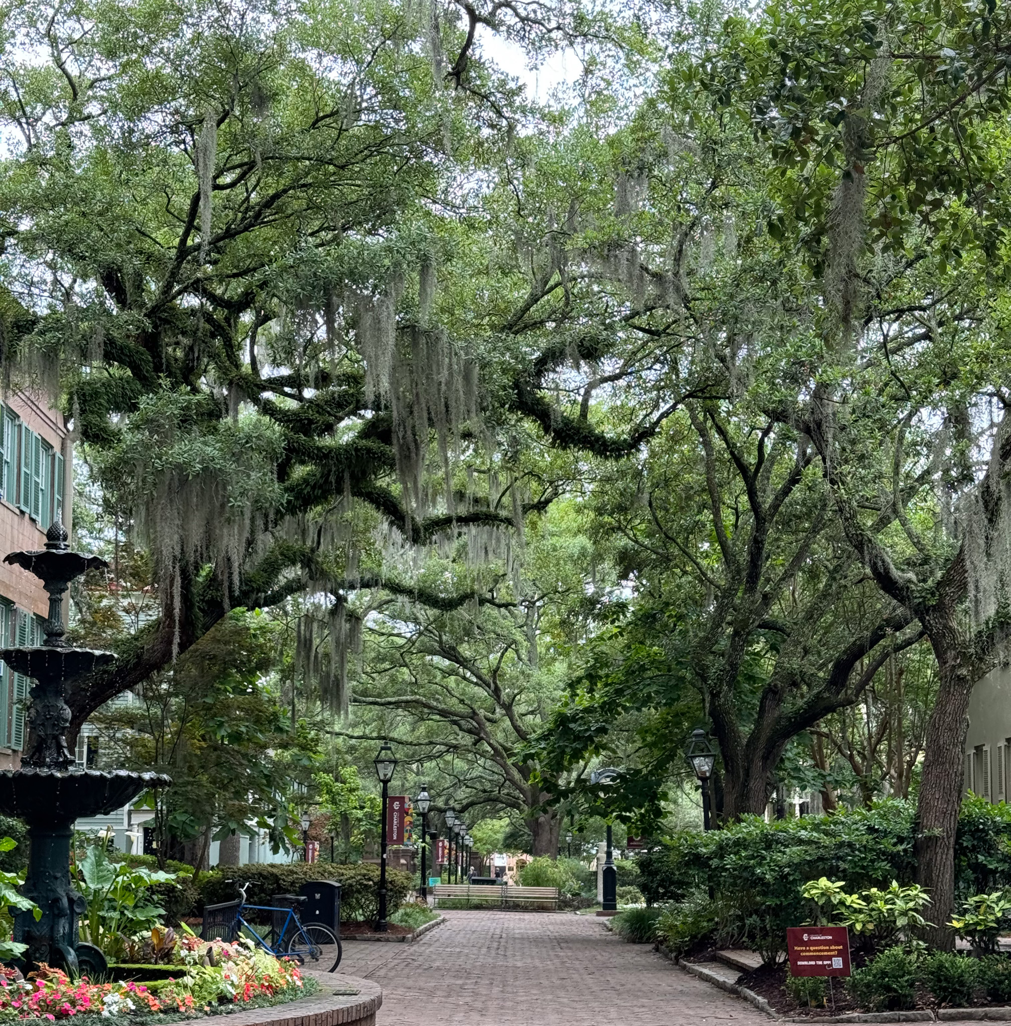 college of charleston campus