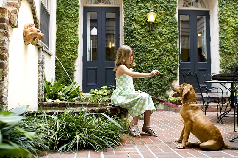 Girl and puppy in the courtyard